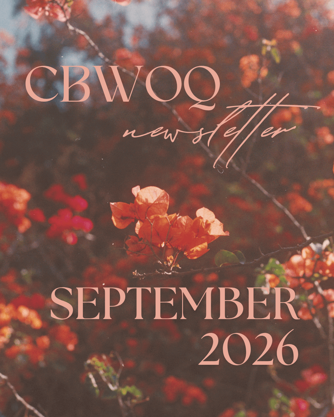SM FALL 2026 (3)